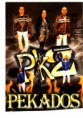 /album/solicite-presupuestos-sin-ningun-tipo-de-compromiso1/pk2-jpg/
